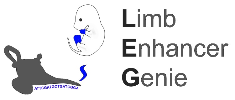 limb enhancer genie