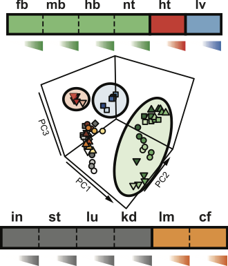 Publications Mammalian Functional Genomics Laboratory